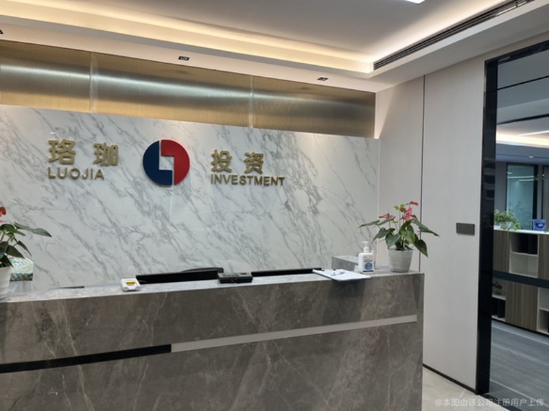 信息咨询公司：上海领航的信息之舟